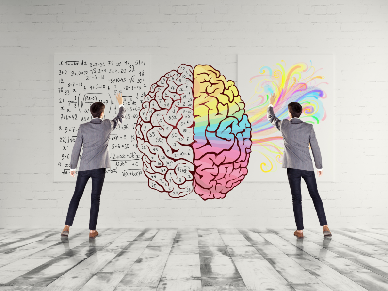 CÁCH KÍCH HOẠT NÃO BỘ HIỆU QUẢ – BÍ QUYẾT TĂNG CƯỜNG TƯ DUY VÀ SÁNG TẠO